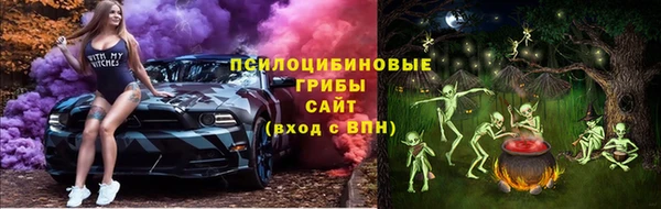 первитин Богданович